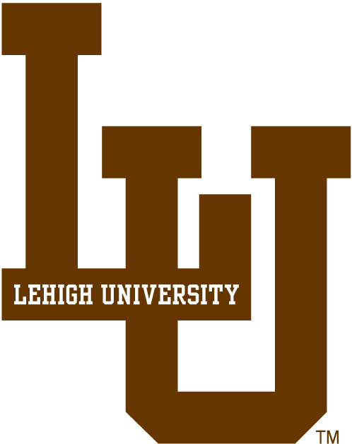 Lehigh Mountain Hawks 0-Pres Alternate Logo diy fabric transfer